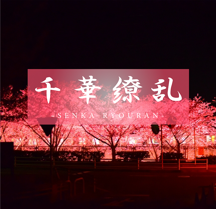 花花世界免费看电影-超前点播迅雷下载电影